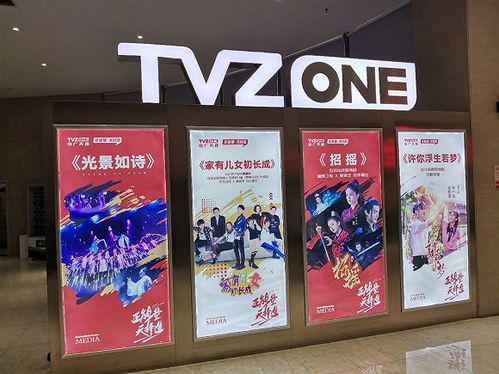 广电传统业务承压，中广天择股东会揭秘MCN转型新战略